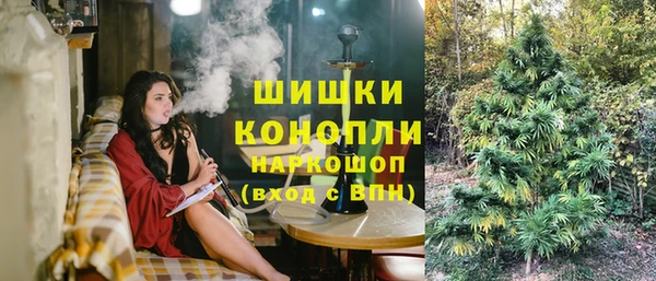 прущие грибы Аркадак