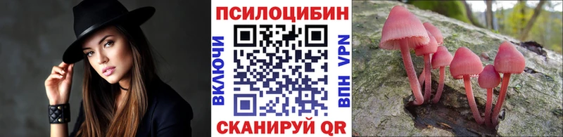 где купить   Мытищи  Галлюциногенные грибы Psilocybe 