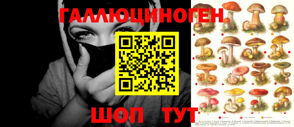 Мытищи  Псилоцибиновые грибы GOLDEN TEACHER  Вход с VPN  купить  цена  Галлюциногенные грибы GOLDEN TEACHER 